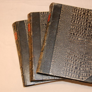 Vapaussodan kertomuksia 1-3